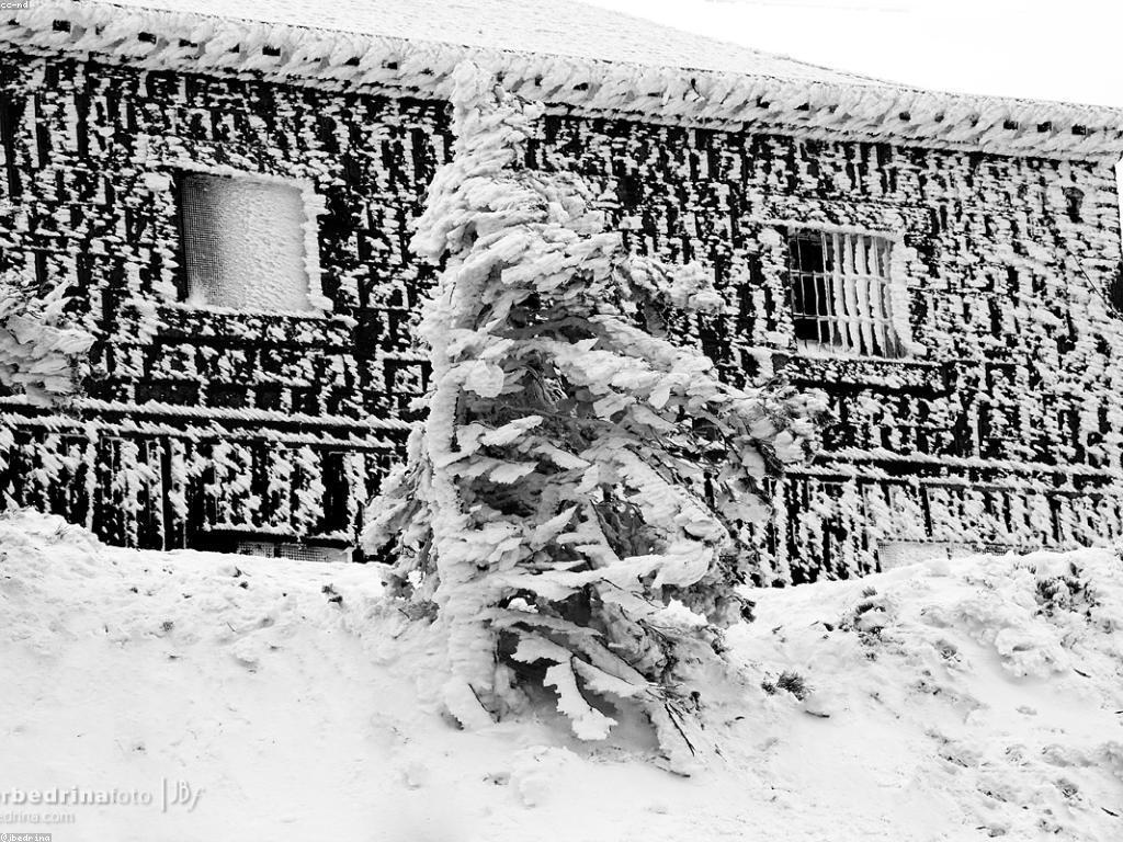 យុទ្ធសាស្ត្រសម្រាប់វិភាគទីផ្សារ