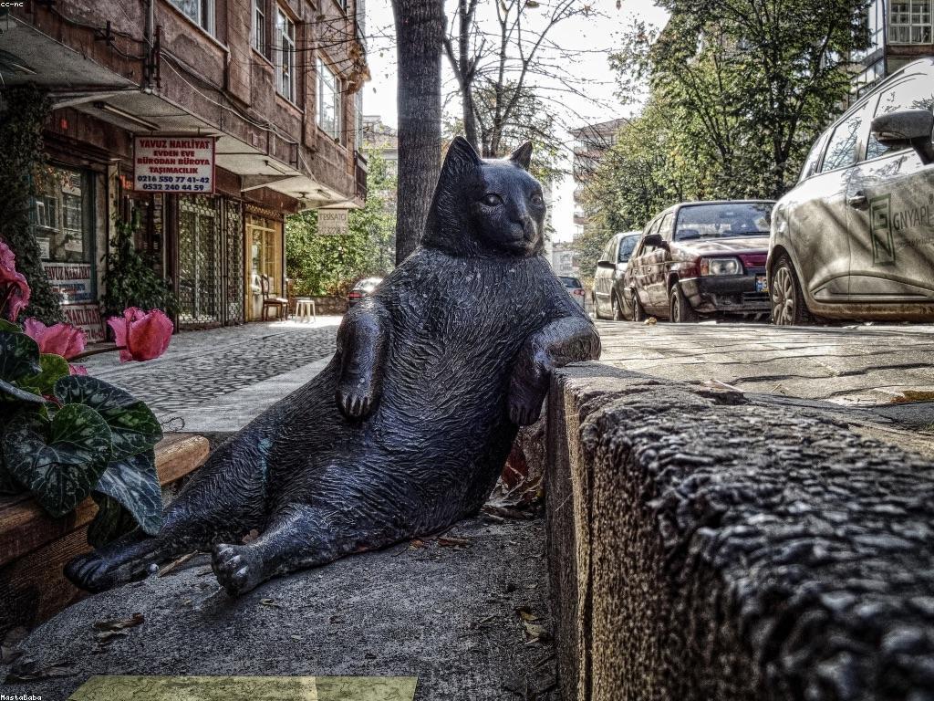 ព័ត៌មានថ្មីៗ: អ្វីដែលអ្នកត្រូវដឹង